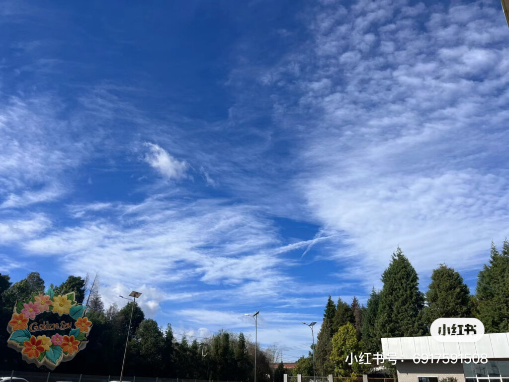 20240517122859703-IMG_1573